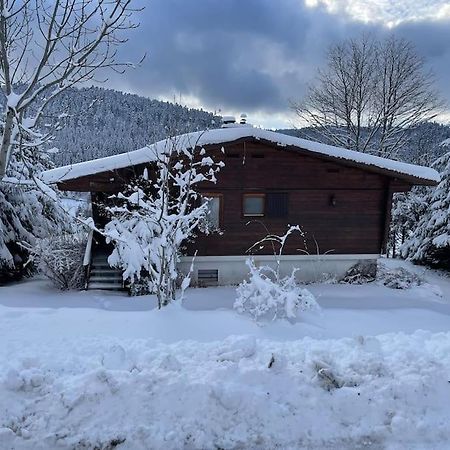 Chalet Situe Au Grand Valtin Villa Ban-sur-Meurthe-Clefcy Exterior foto