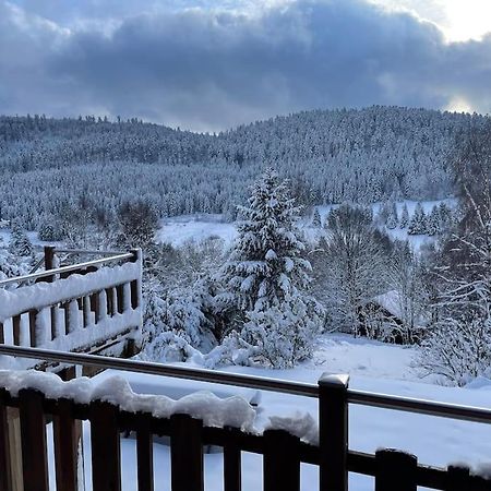 Chalet Situe Au Grand Valtin Villa Ban-sur-Meurthe-Clefcy Exterior foto